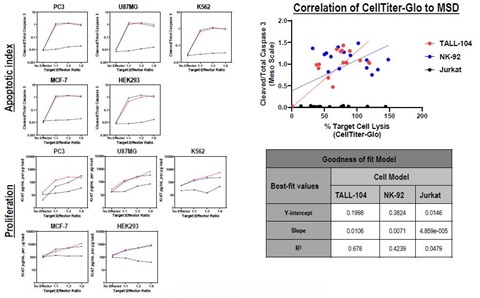 Apoptotic index, KI-67, and CellTiter-Glocorrelation